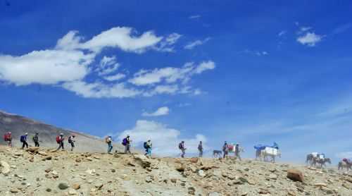 TREKKING IN LADAKH | CHANGTANG 2017